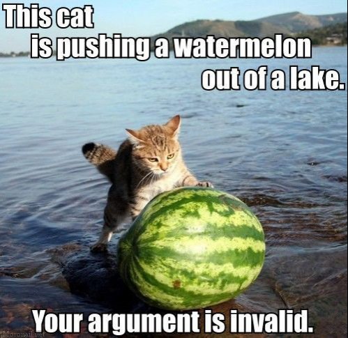 3526948-this-cat-is-pushing-a-watermelon-out-of-a-lake.jpg