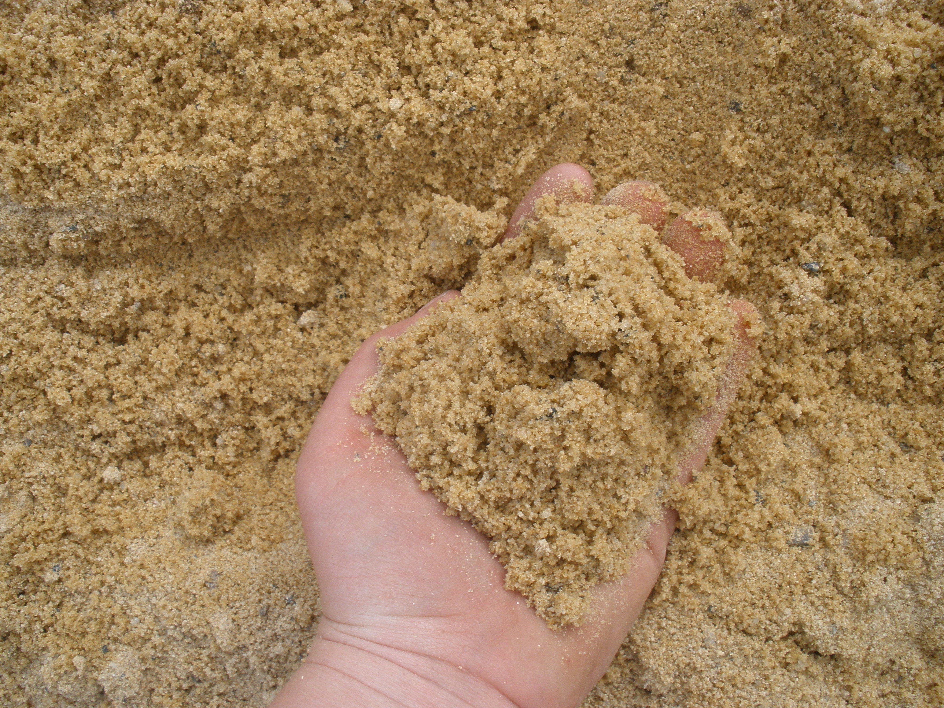 Песок оптом от производителя. Песок Речной. Илистый песок. Песок строительный. Песок строительный Речной.
