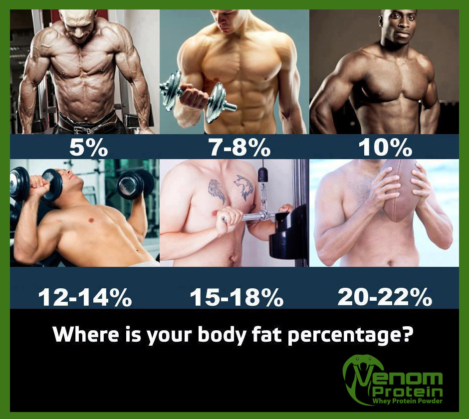 Уровни качка. Процент жира. Процент сдира в организме. 20 Процентов жира в организме. Процент жира в теле.