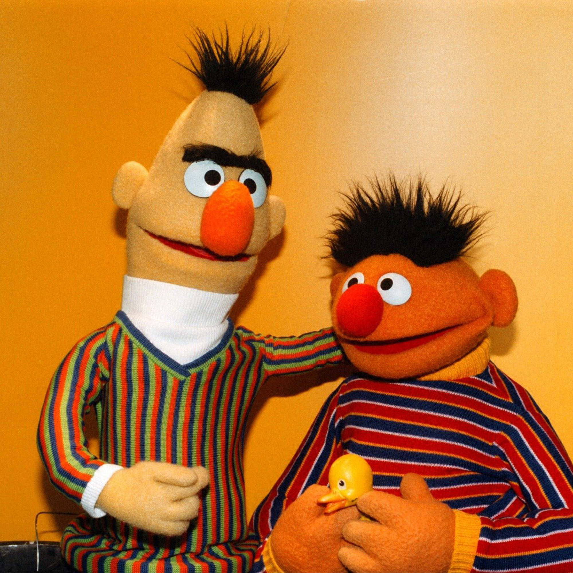 #529. Bert and Ernie. 