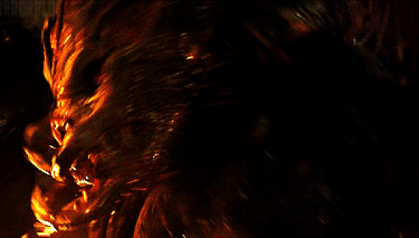 Хищник света фото