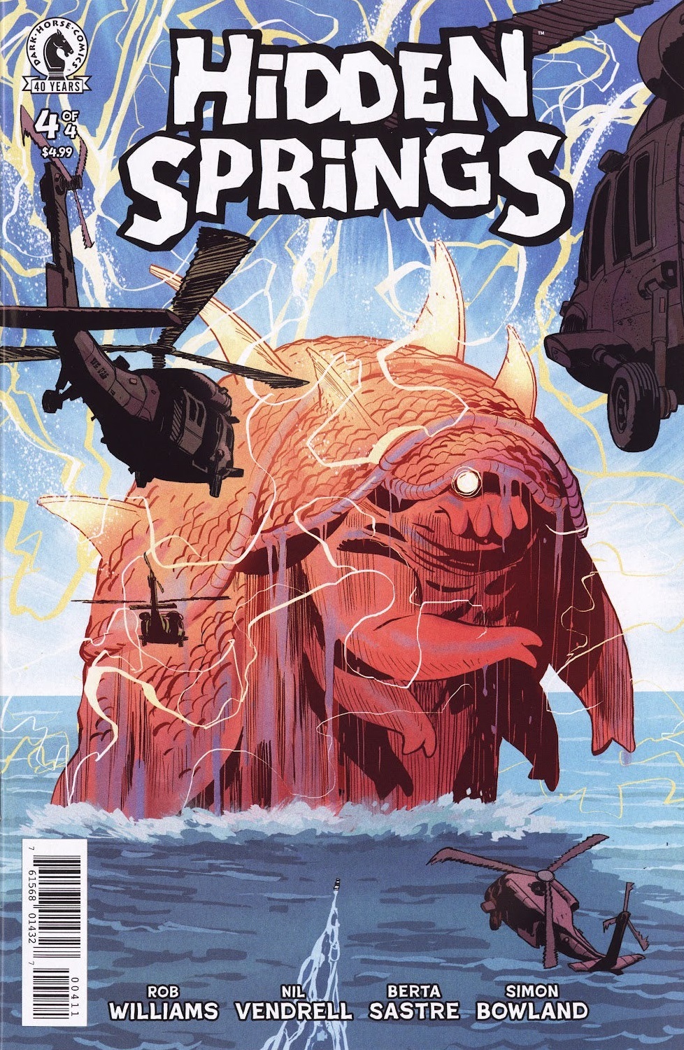 Hidden Springs cover