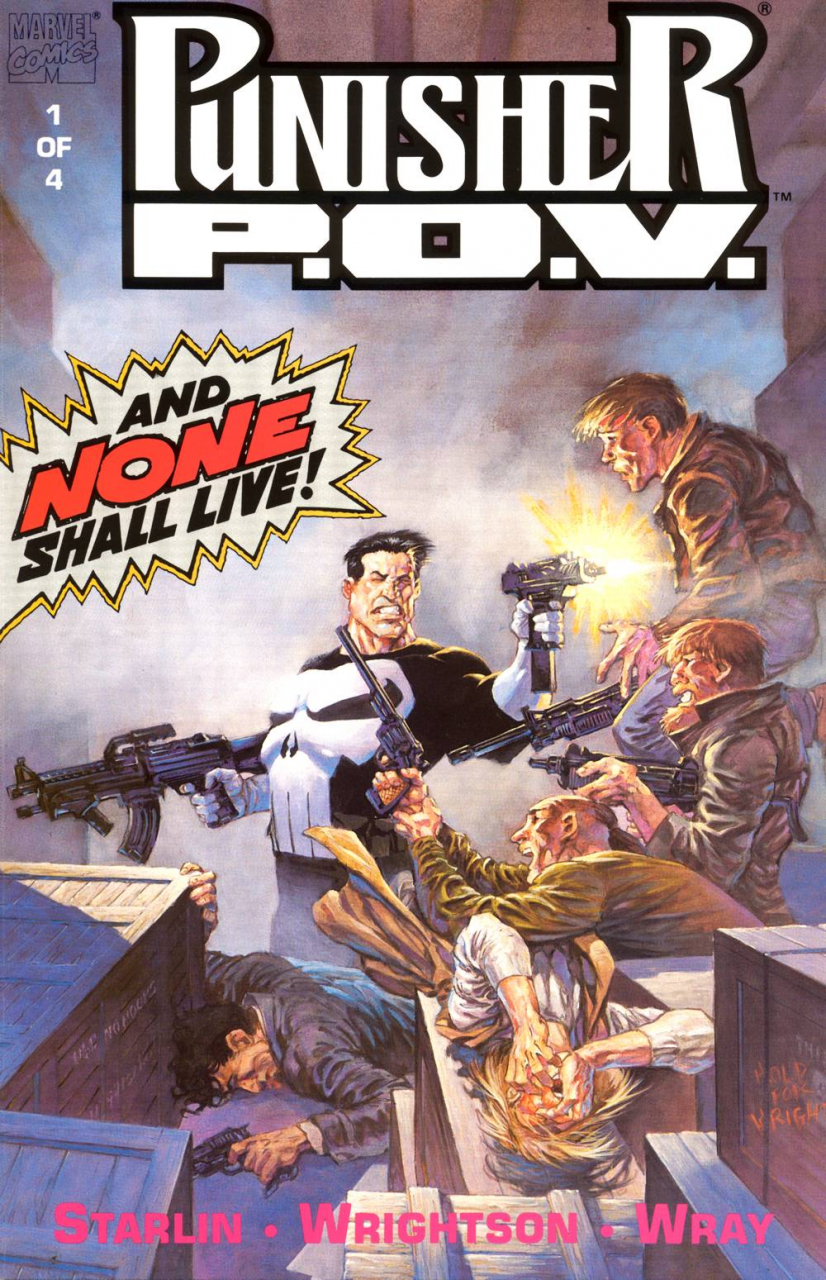Copertina di The Punisher: P.O.V.