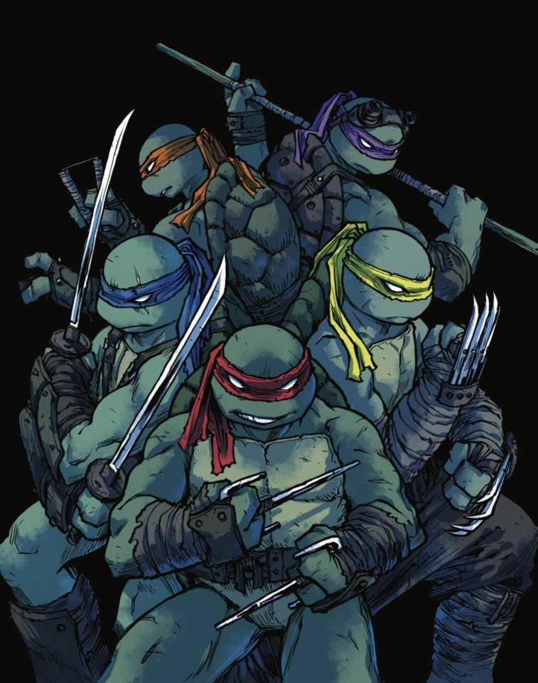 Teenage Mutant Ninja Turtles (2023 film), Idea Wiki