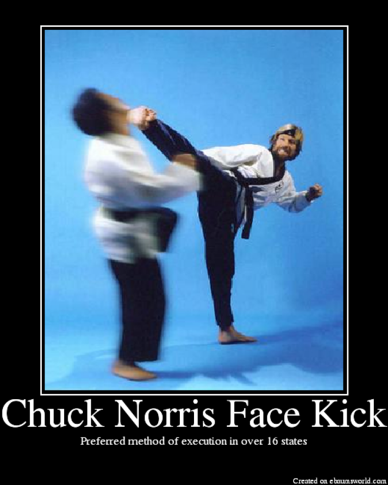 Кик чак. Удары ногами в карате с разворота. Чак Норрис демотиваторы. Chuck Norris Roundhouse Kick. Вертушка удар ногой с разворота.