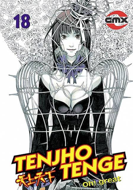 Tenjou Tenge, vol 15 cover  Manga artist, Character art