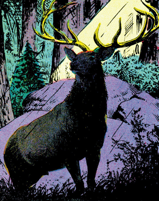 Tracy, California visual data 6