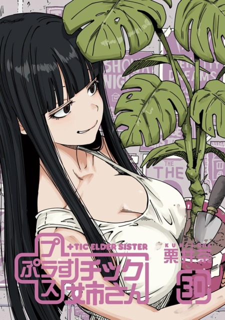Tic Nee-san (Volume) - Comic Vine