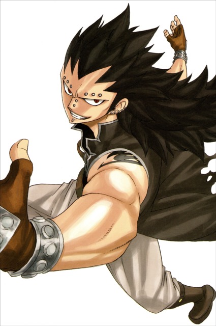 Top 5 Fairy Tail Characters