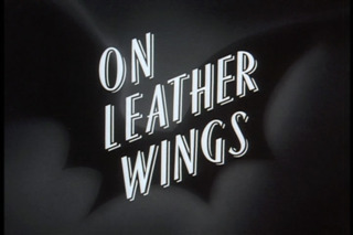 On Leather Wings
