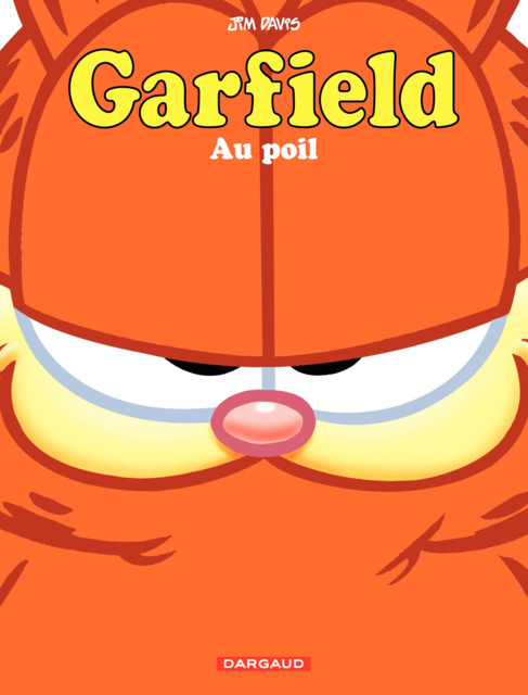 Garfield 65 Chat Glisse Issue