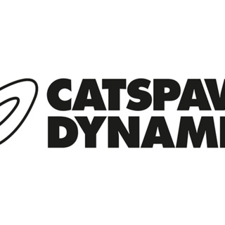 Catspaw Dynamics
