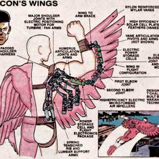 Falcon's Wings